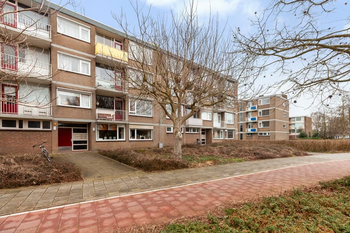 Foto 30 van Burgemeester de Zeeuwstraat 184