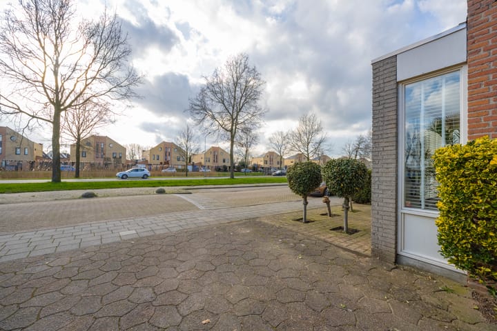 Foto 9 van Beemdkroon 40