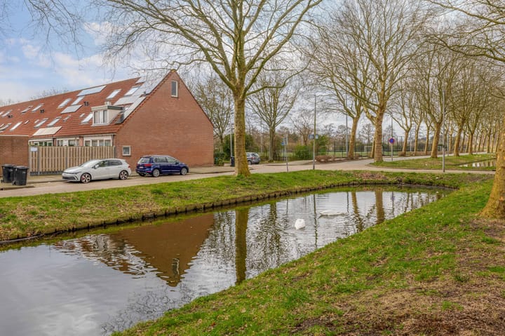 Photo 46 of Igor Stravinskisingel 46