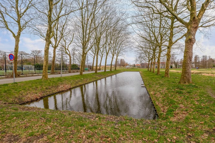 Photo 47 of Igor Stravinskisingel 46