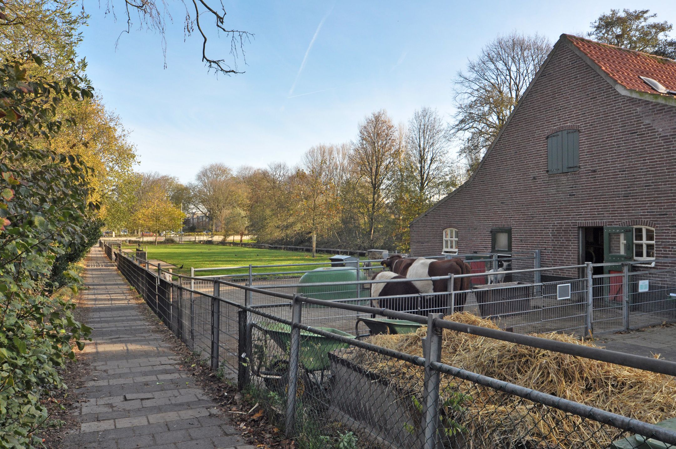 Foto 51 van Hortensiastraat 100