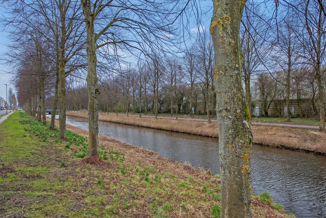 Foto 37 van Mosgroen 131