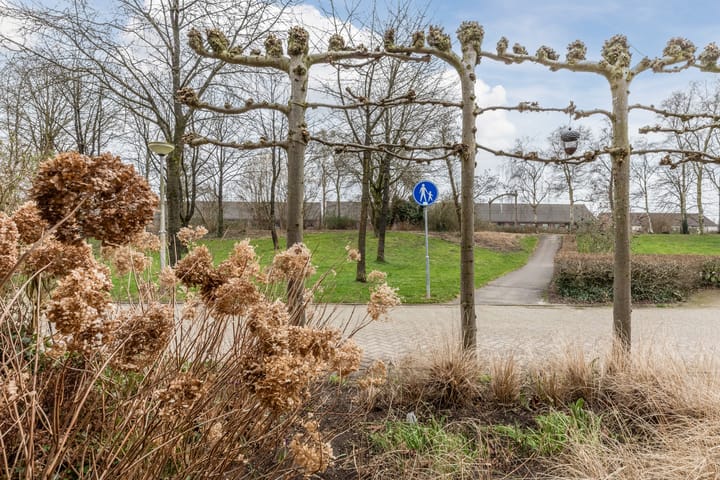 Photo 36 of Beerze 24