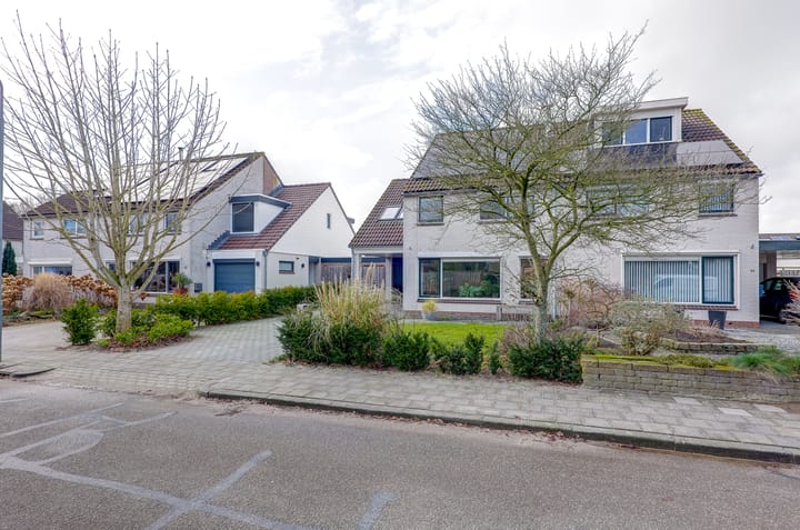 Foto 3 van Boerheem 46