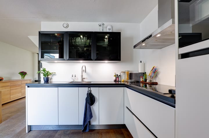 Foto 8 van Boerheem 46