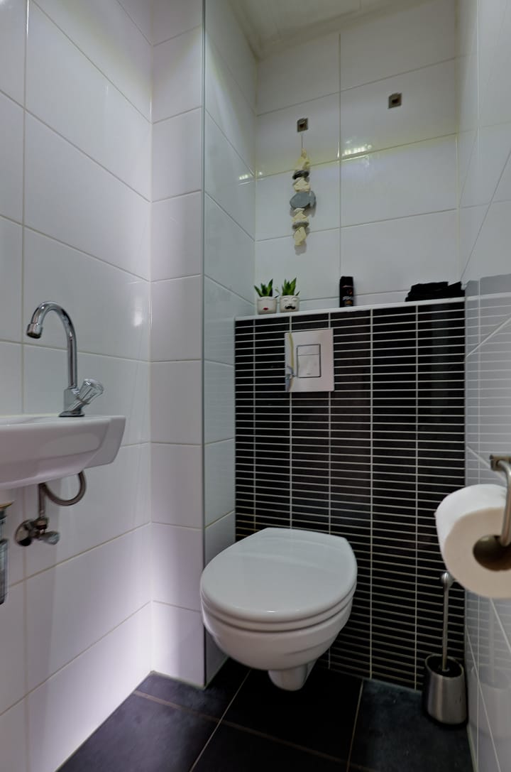 Foto 14 van Boerheem 46