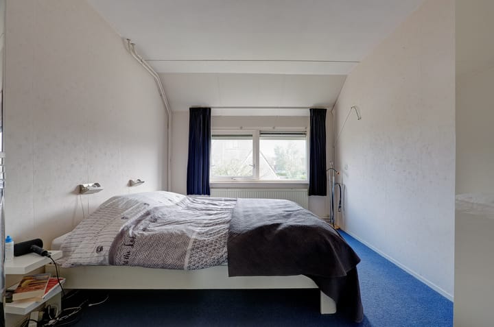 Foto 18 van Boerheem 46