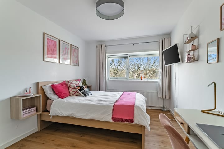 Foto 30 van Watersnip 17