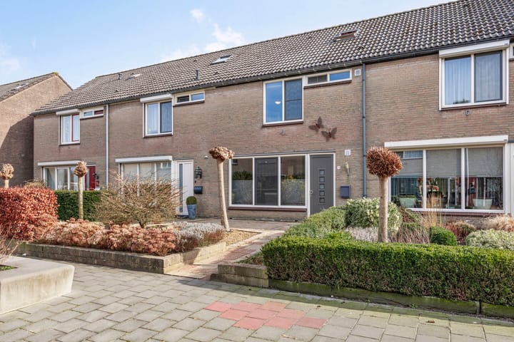 Foto 2 van Berkepad 13