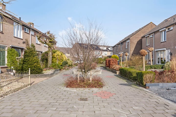 Foto 3 van Berkepad 13