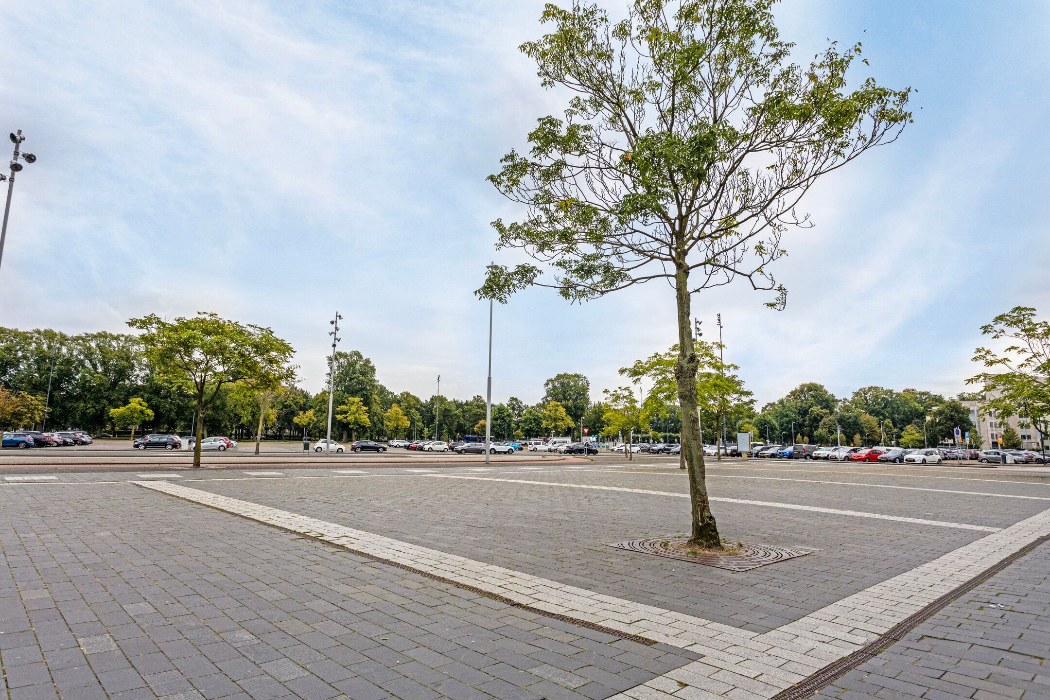 Foto 30 van Rijngraafstraat 40