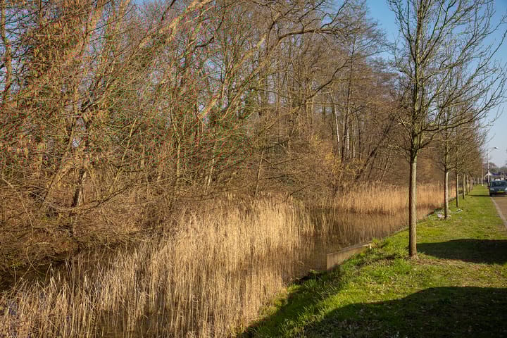 Foto 32 van De Reigerstraat 4