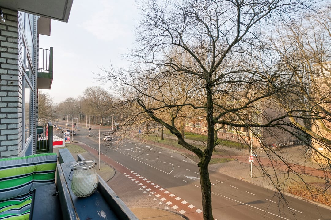 Foto 38 van Tobias Asserlaan 119