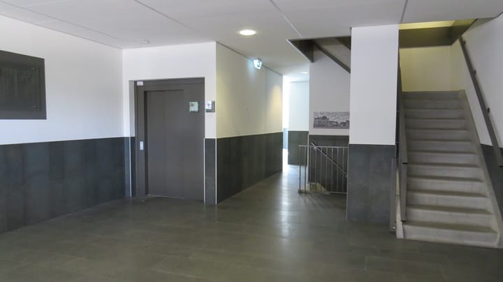 Foto 5 van Spiegeltuin 172