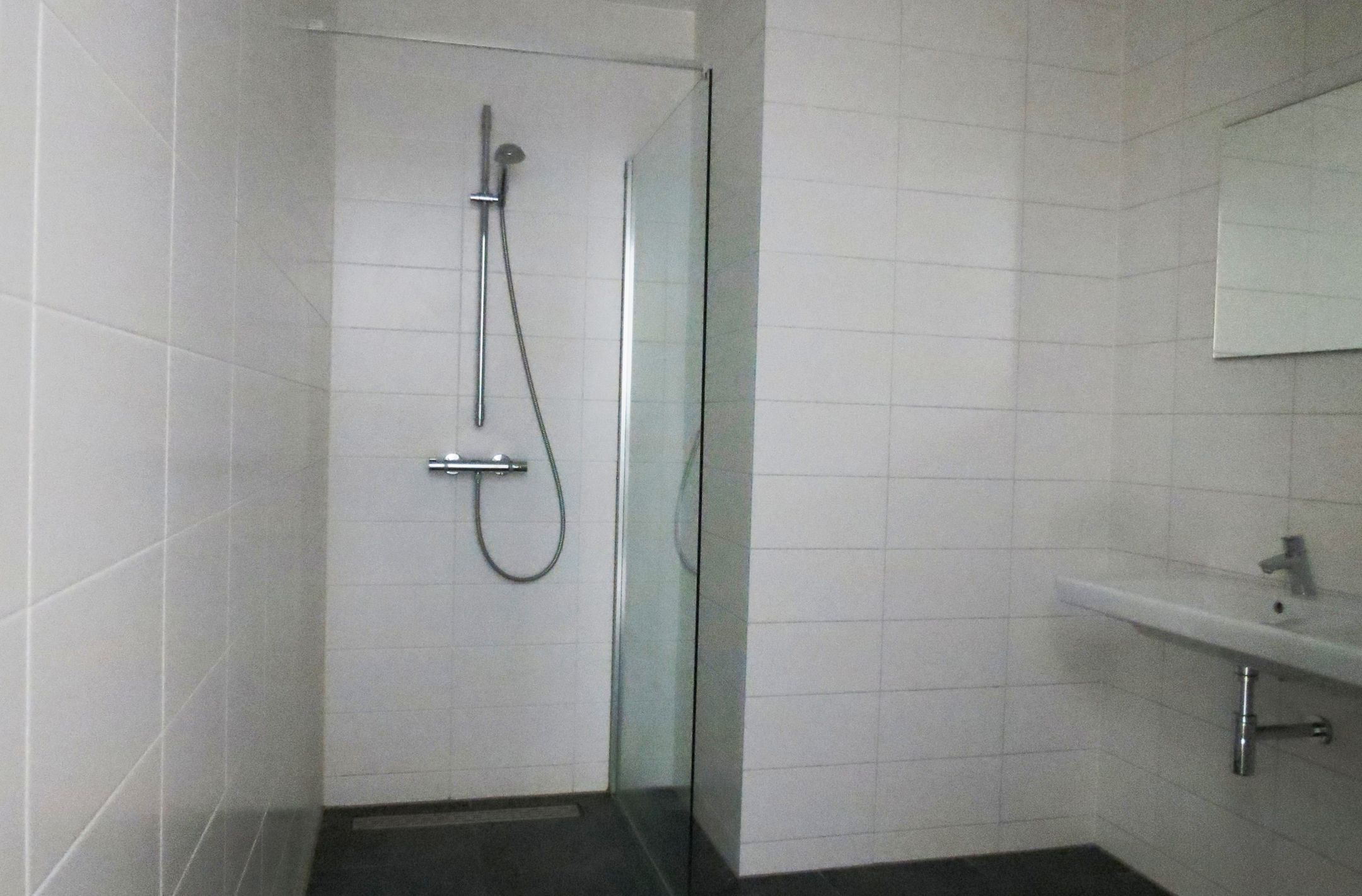 Foto 12 van Spiegeltuin 172