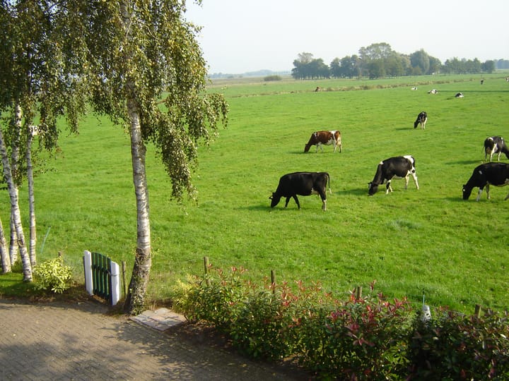 Foto 3 van Nieuwlandsweg 1