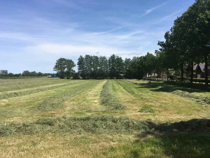 Foto 4 van Nieuwlandsweg 1