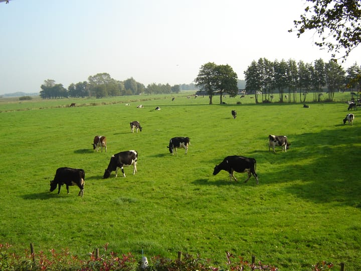 Foto 27 van Nieuwlandsweg 1