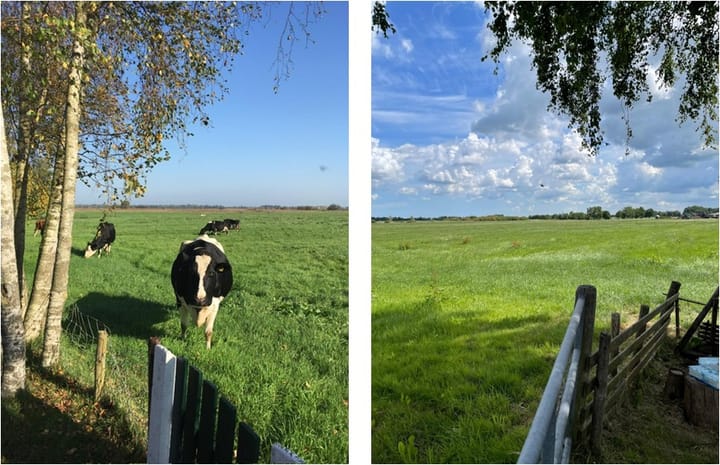 Foto 28 van Nieuwlandsweg 1