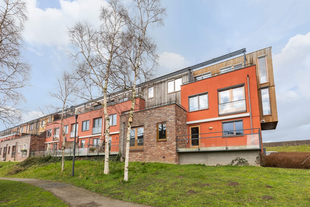 Foto 2 van Forel 426