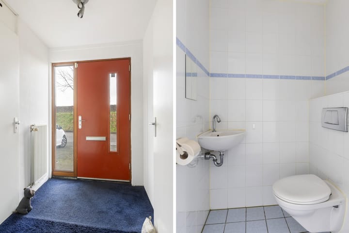 Foto 3 van Forel 426