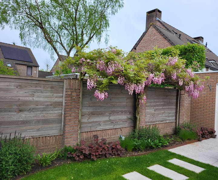 Foto 43 van Margriet 3