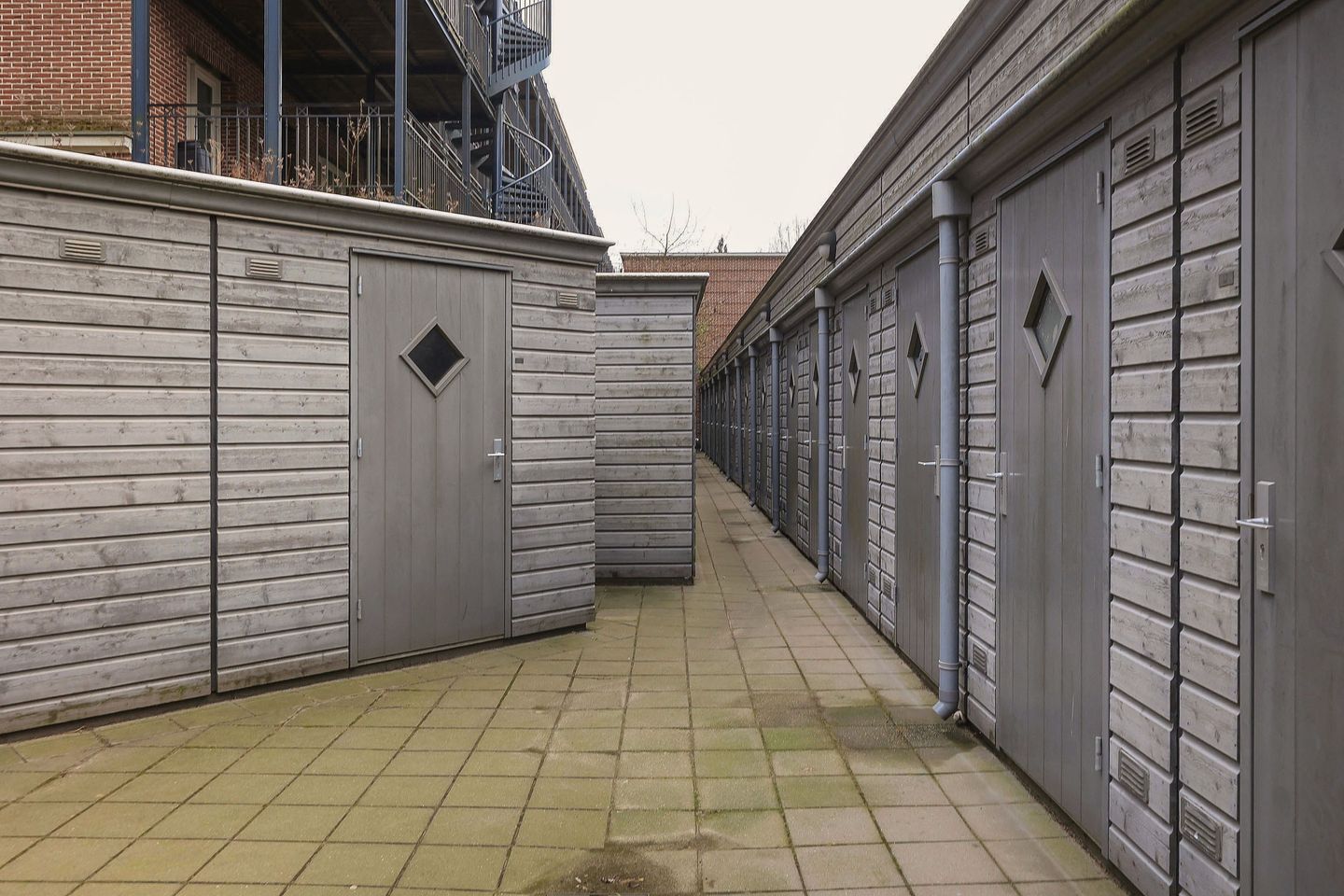 Photo 50 of Piri Reisplein 66