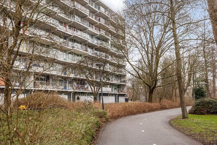 Foto 1 van Zijldonk 125