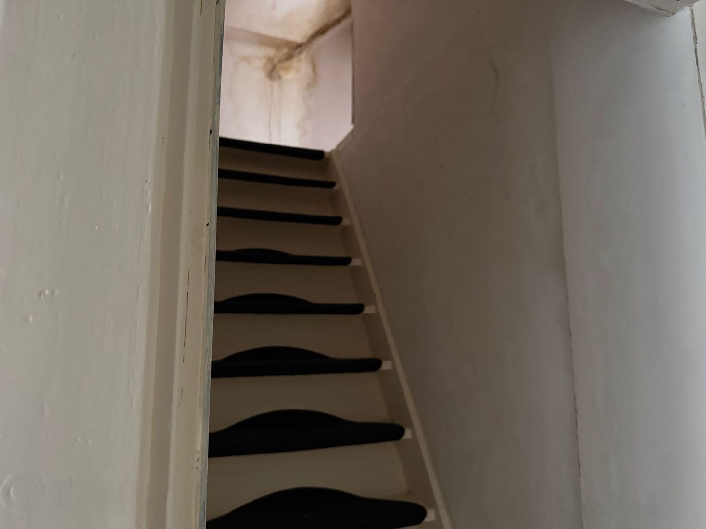 Foto 10 van Lijsterbesstraat 4