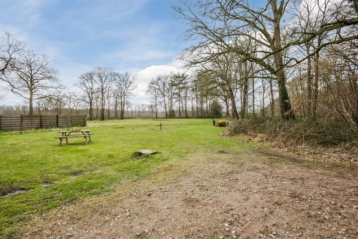 Foto 52 van Tolhuisweg 4