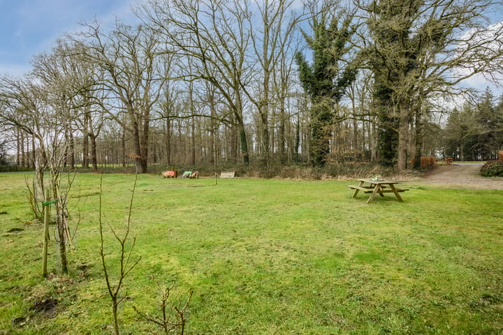 Foto 53 van Tolhuisweg 4