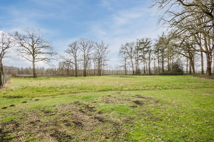 Foto 56 van Tolhuisweg 4