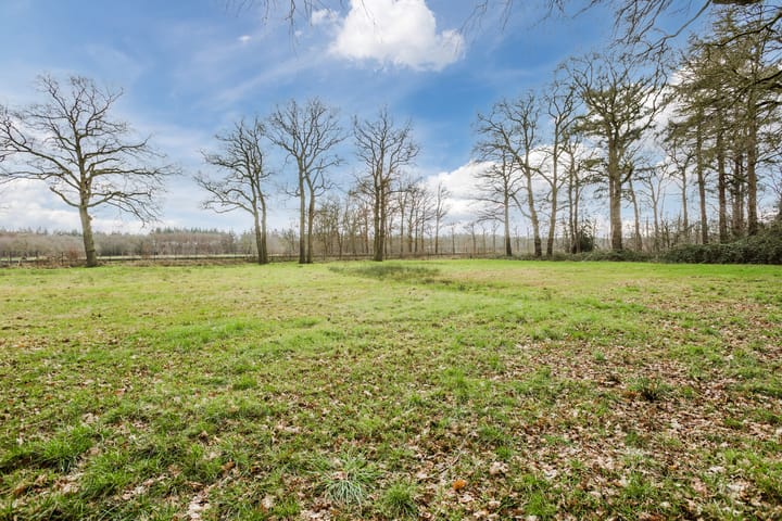 Foto 57 van Tolhuisweg 4