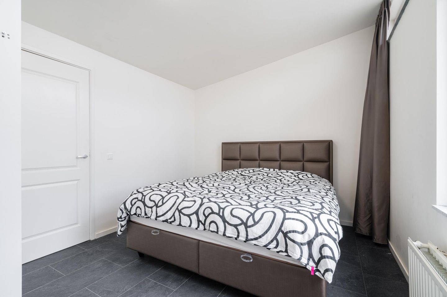 Foto 14 van Waterschorpioen 21