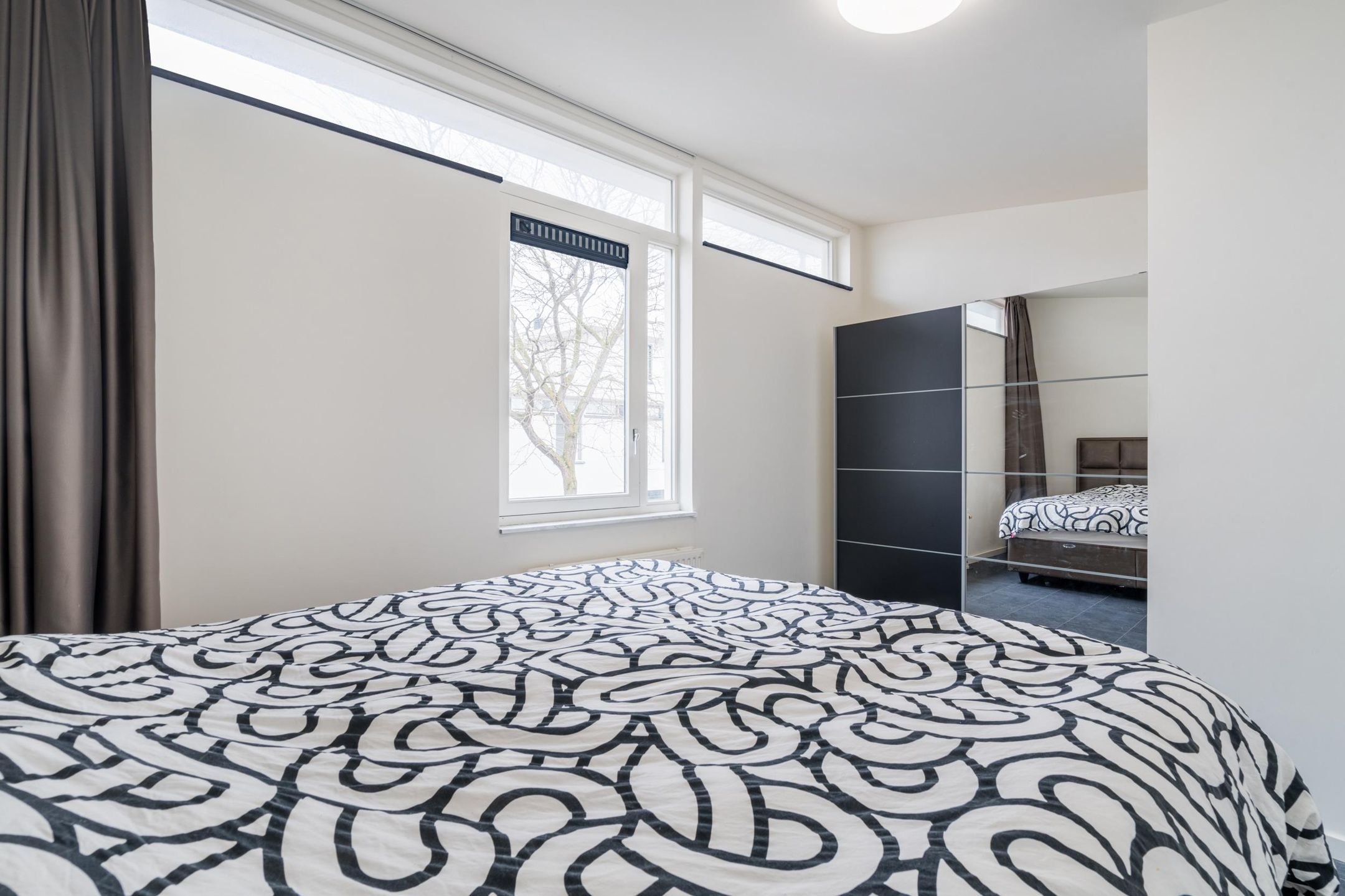 Foto 15 van Waterschorpioen 21