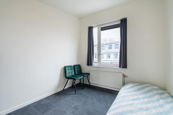 Foto 17 van Waterschorpioen 21