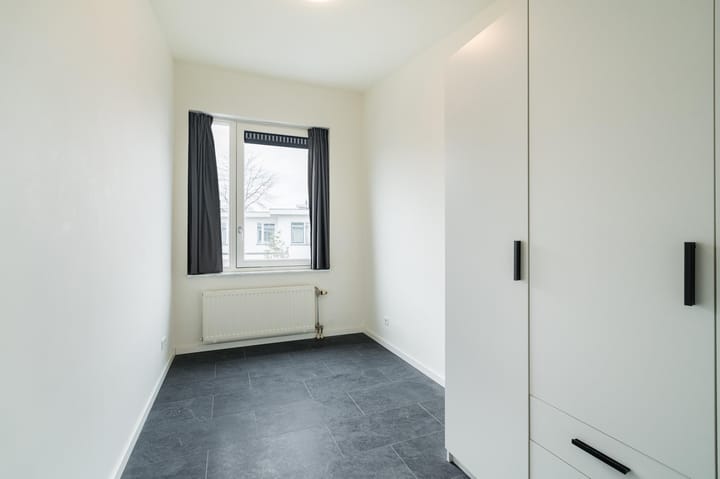 Foto 19 van Waterschorpioen 21