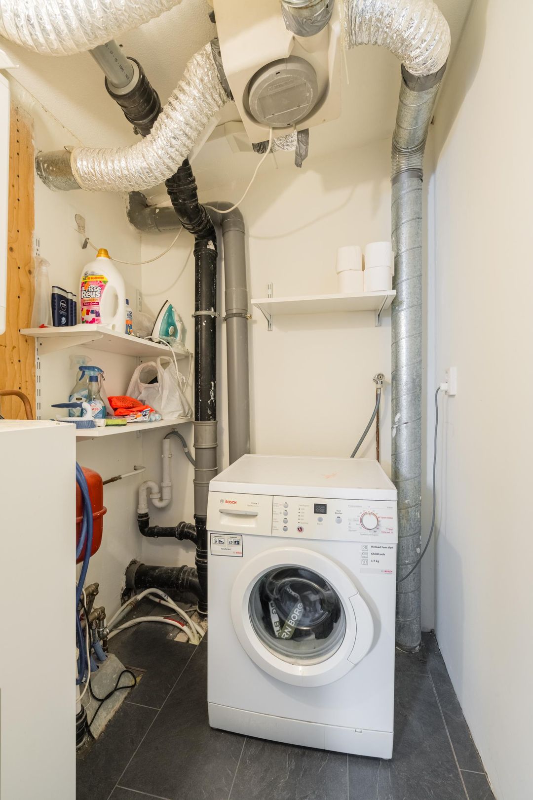 Foto 26 van Waterschorpioen 21