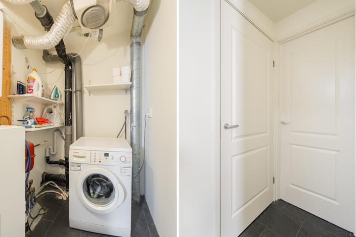 Foto 28 van Waterschorpioen 21