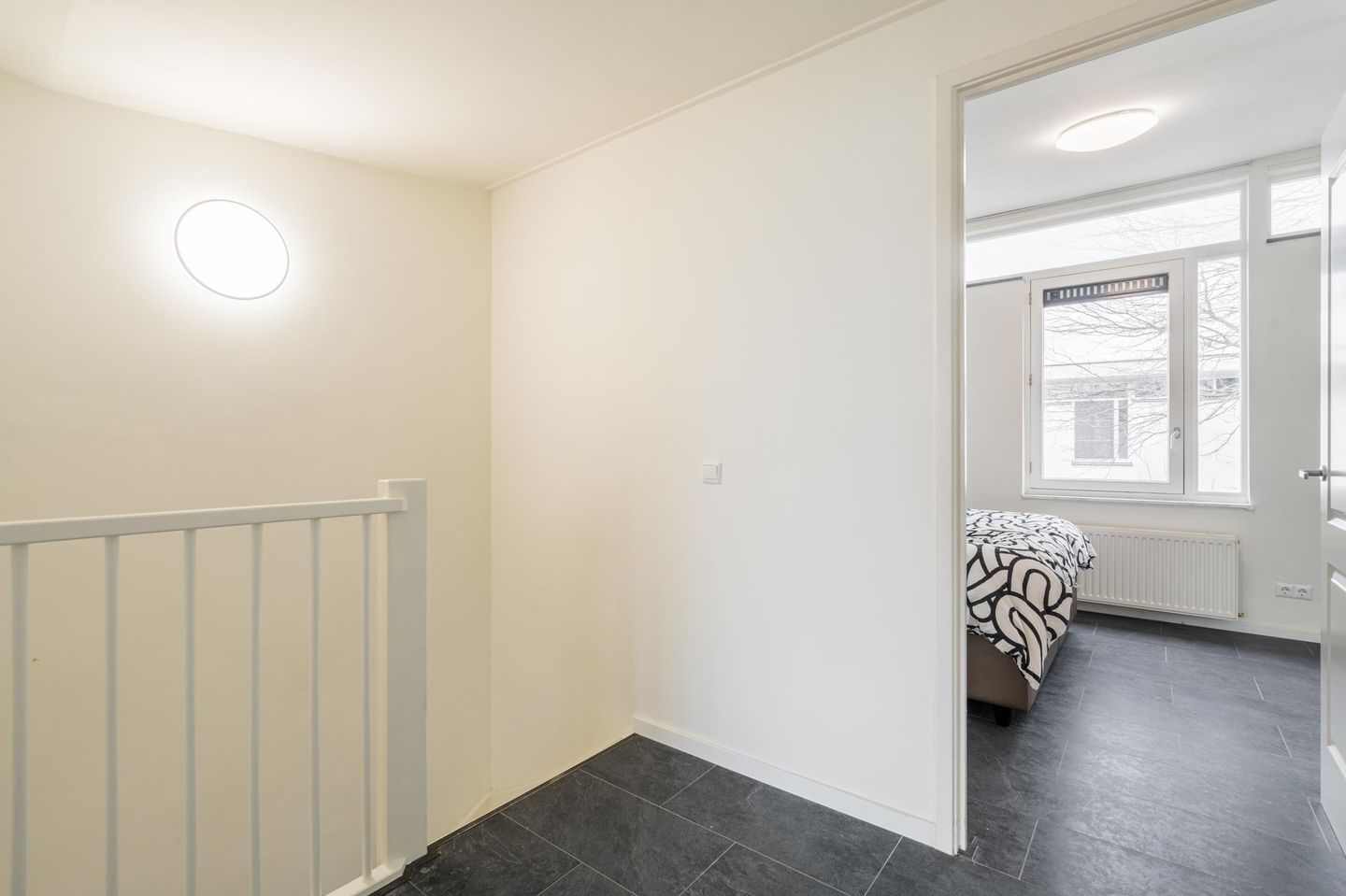 Foto 29 van Waterschorpioen 21