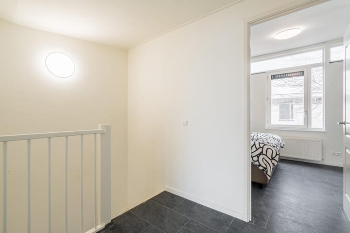 Foto 29 van Waterschorpioen 21