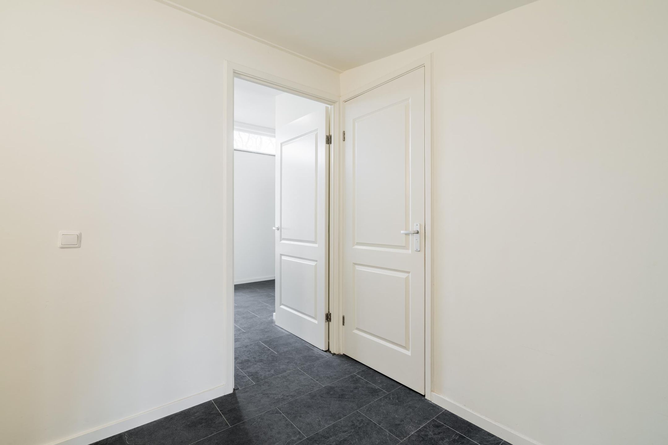 Foto 30 van Waterschorpioen 21