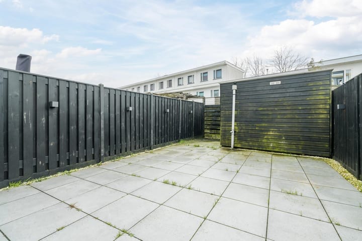 Foto 32 van Waterschorpioen 21