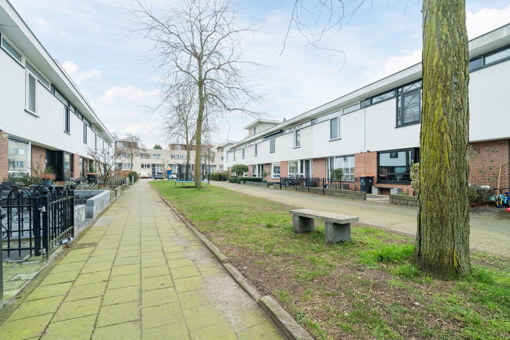 Foto 36 van Waterschorpioen 21