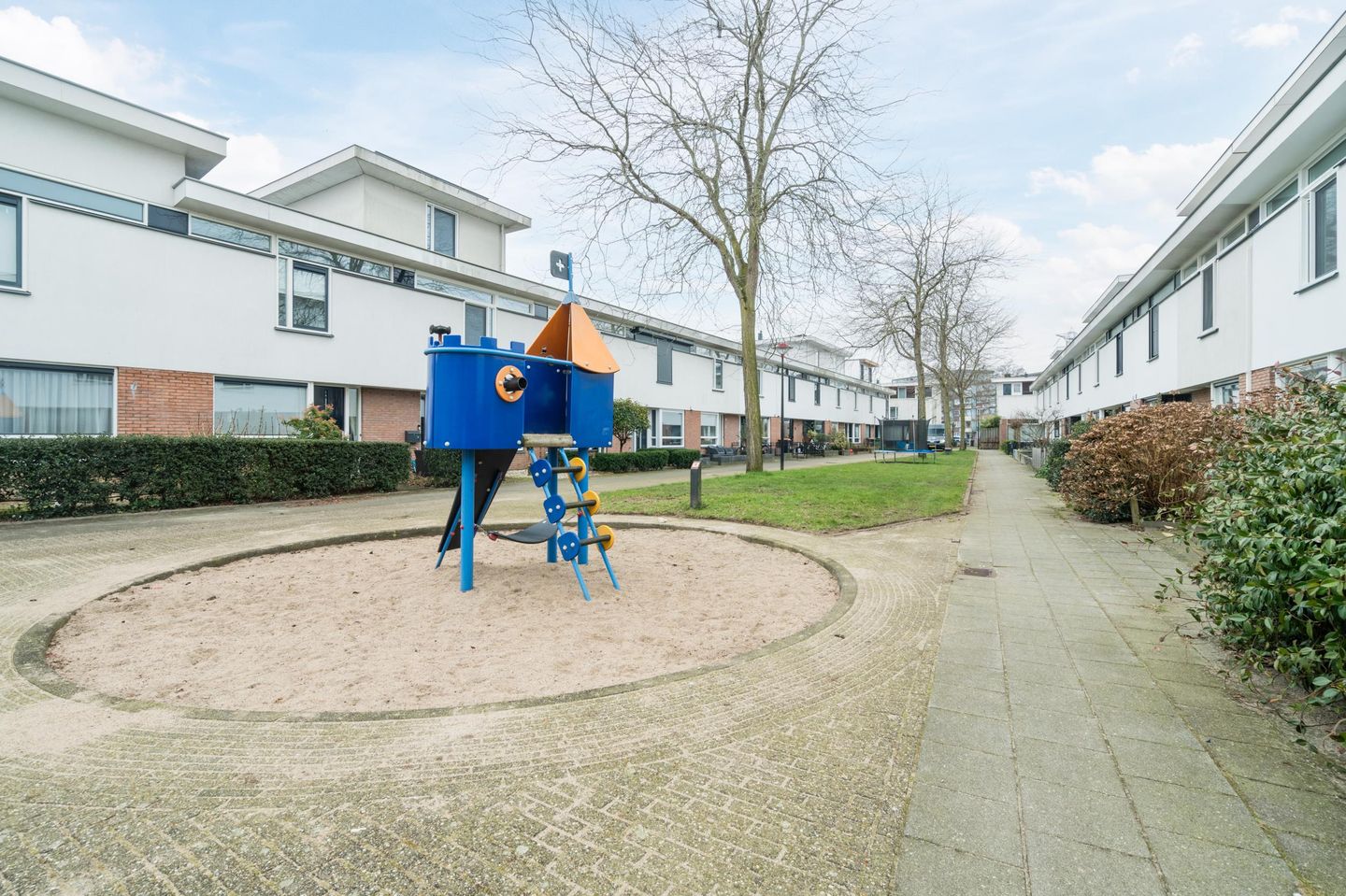 Foto 40 van Waterschorpioen 21