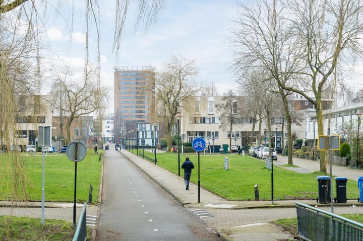 Foto 41 van Waterschorpioen 21