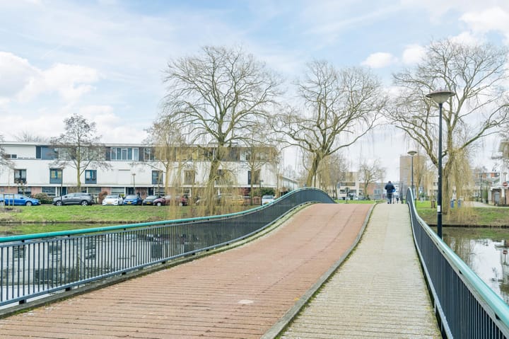 Foto 42 van Waterschorpioen 21