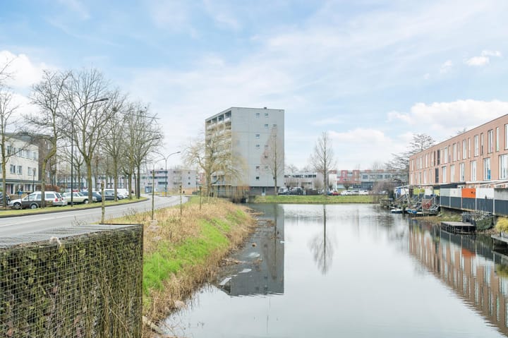 Foto 43 van Waterschorpioen 21