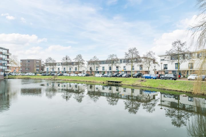 Foto 44 van Waterschorpioen 21