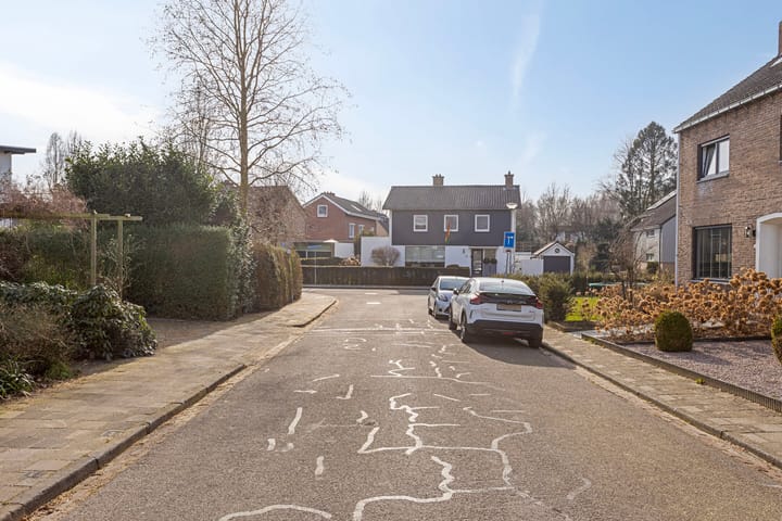 Foto 28 van Proost Falcostraat 8